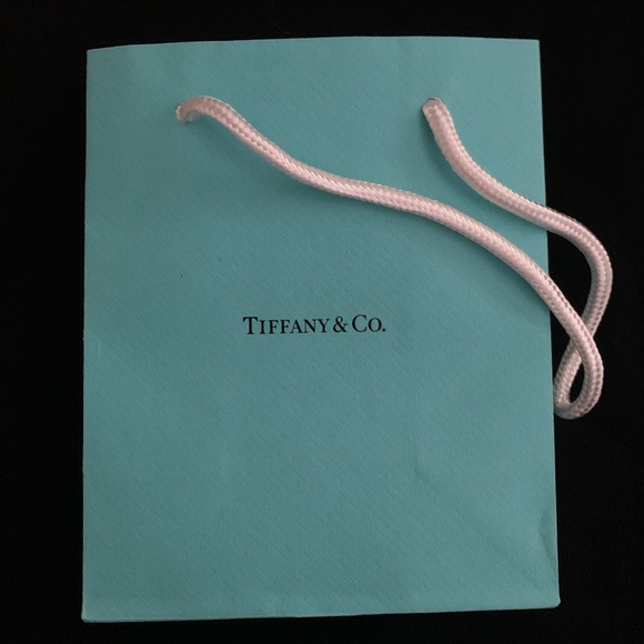Tiffany Gift Bag - Picture 1 of 2